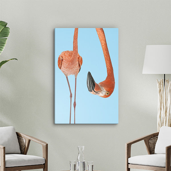 Flamingo Decor