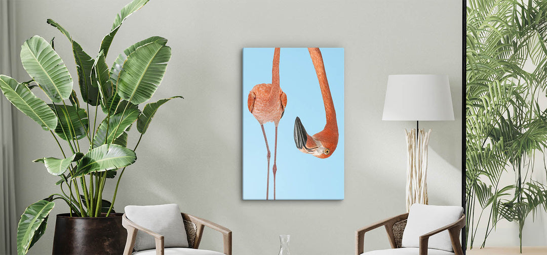 Portrait Bird Wall Art