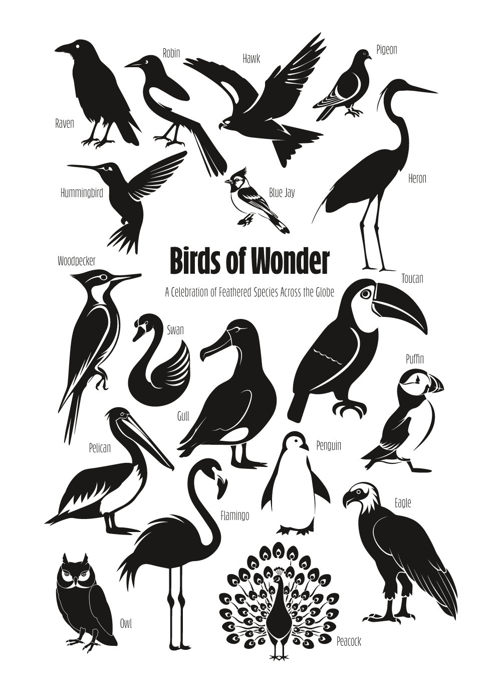 Birds of Wonder The Avian Silhouette Chart