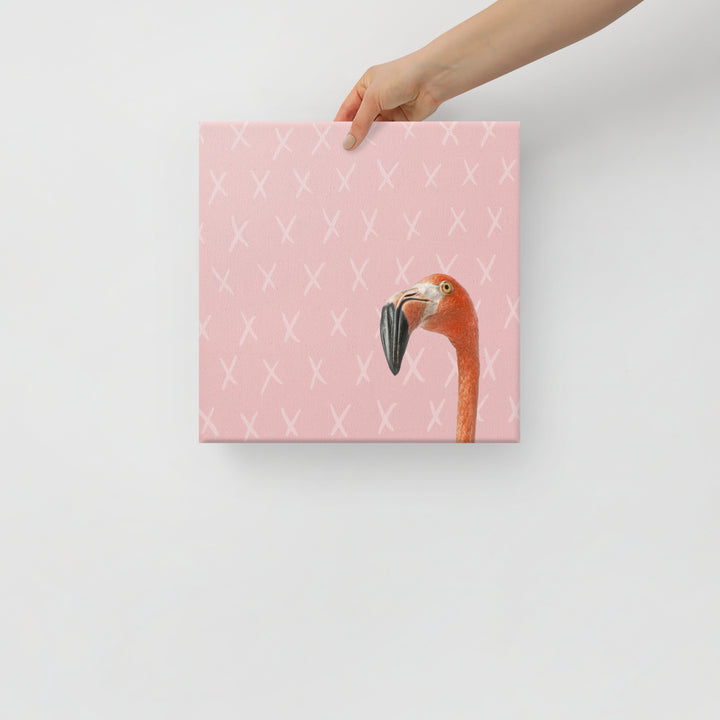 The Curious Flamingo Against Blush - Canvas Print