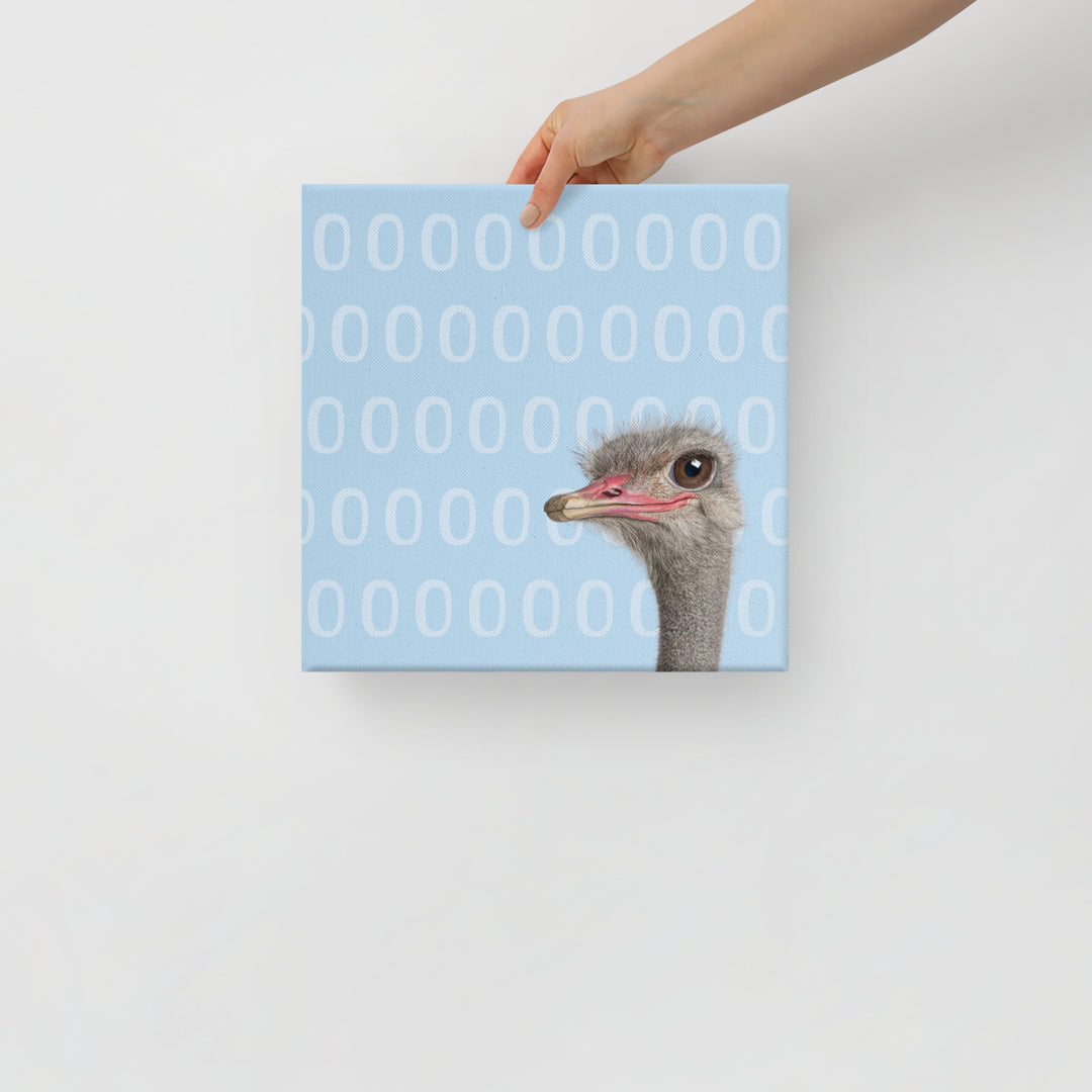 A Curious Ostrich Against Blue - Canvas Wall Art