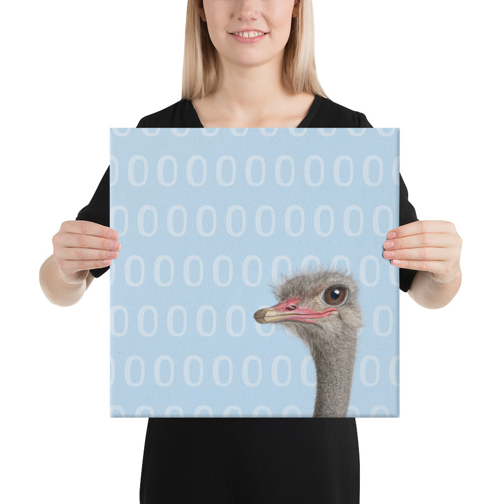 A Curious Ostrich Against Blue - Canvas Wall Art