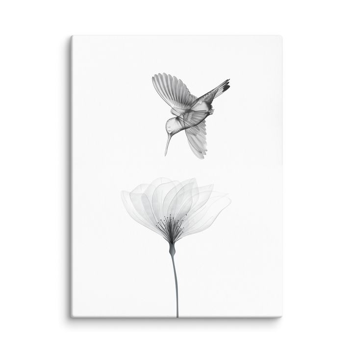 Translucent Harmony – Hummingbird and Bloom Canvas