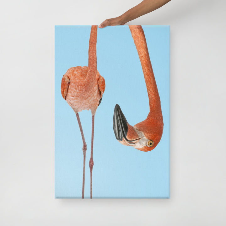 A Twist of Flamingo Curiosity - Canvas Wall Art