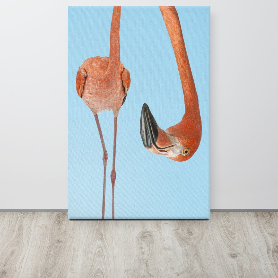 A Twist of Flamingo Curiosity - Canvas Wall Art