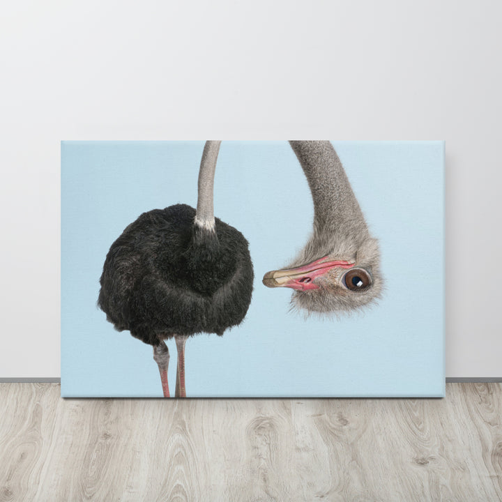 A Playful Ostrich Peek - Canvas Wall Art