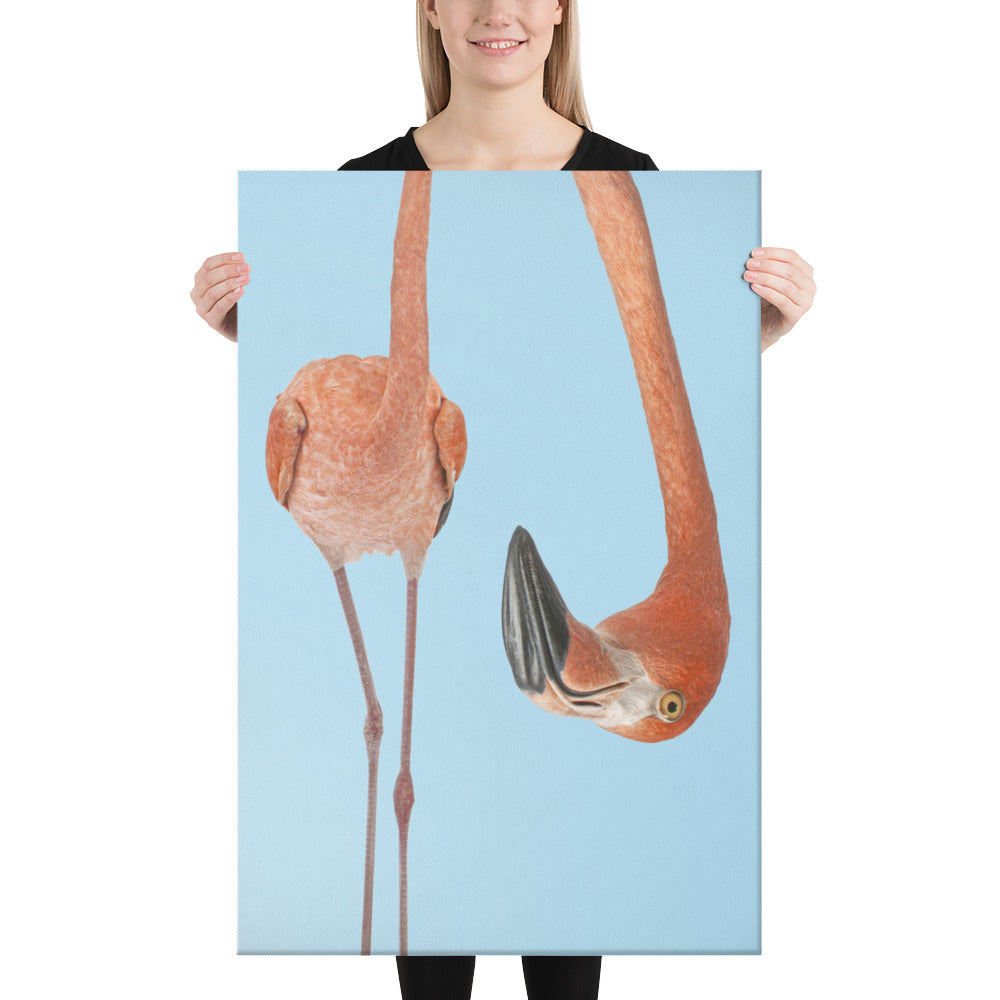 A Twist of Flamingo Curiosity - Canvas Wall Art