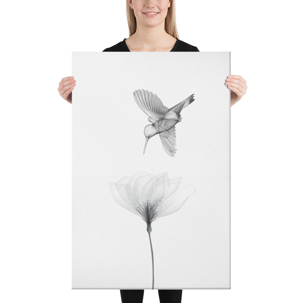 Translucent Harmony – Hummingbird and Bloom Canvas