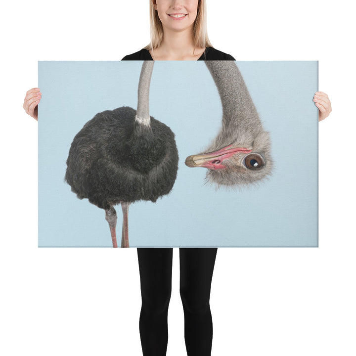 A Playful Ostrich Peek - Canvas Wall Art