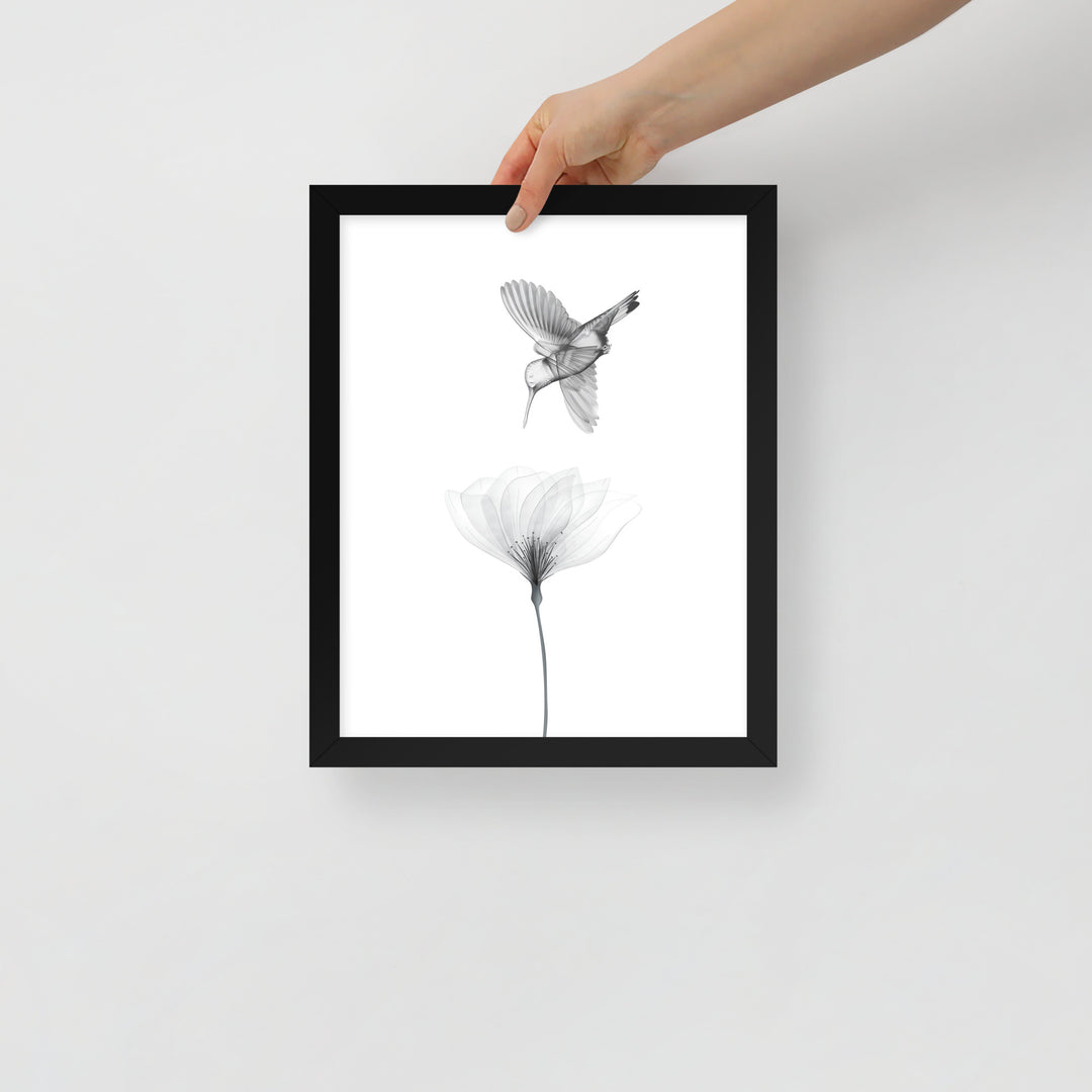 Translucent Harmony – Hummingbird and Bloom - Framed