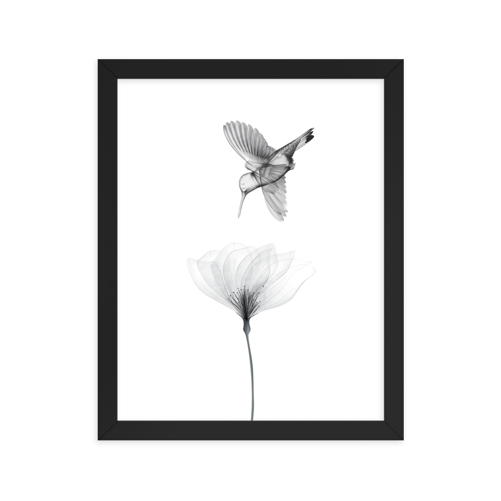 Translucent Harmony – Hummingbird and Bloom - Framed