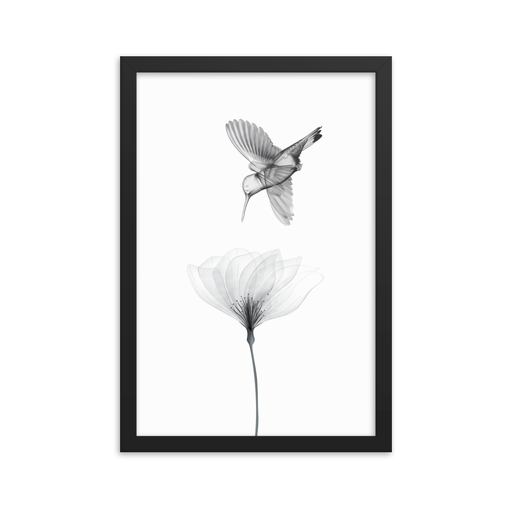 Translucent Harmony – Hummingbird and Bloom - Framed