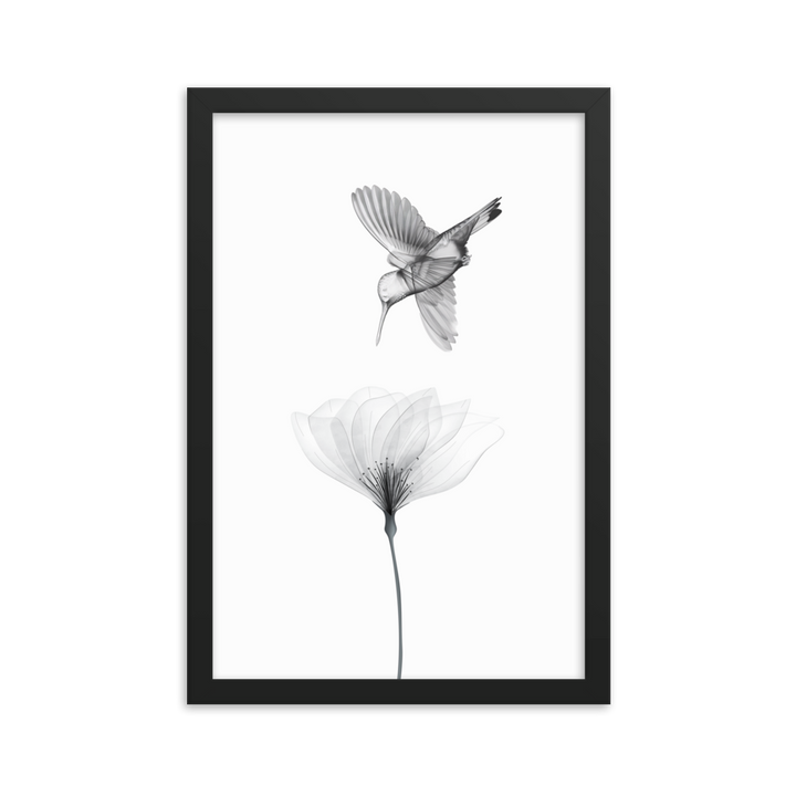 Translucent Harmony – Hummingbird and Bloom - Framed