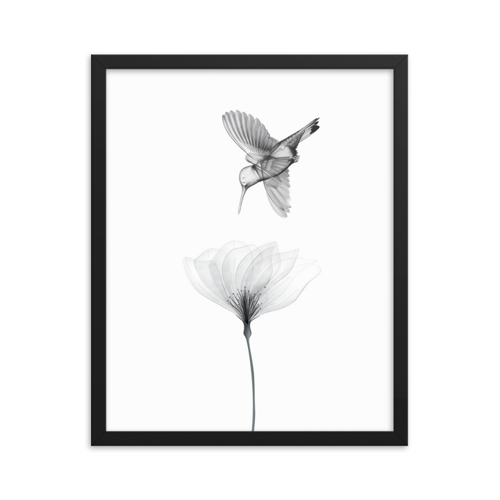 Translucent Harmony – Hummingbird and Bloom - Framed