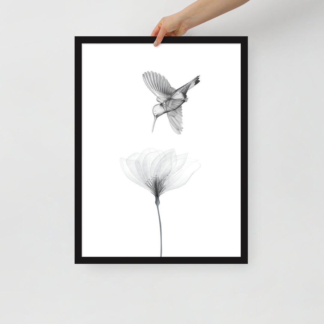 Translucent Harmony – Hummingbird and Bloom - Framed