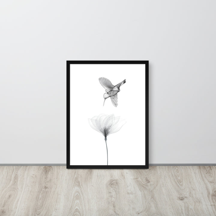 Translucent Harmony – Hummingbird and Bloom - Framed