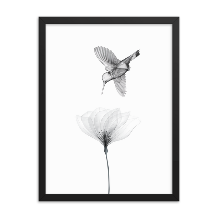 Translucent Harmony – Hummingbird and Bloom - Framed