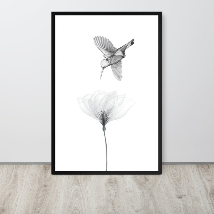 Translucent Harmony – Hummingbird and Bloom - Framed