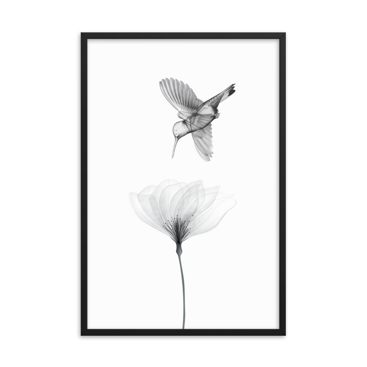 Translucent Harmony – Hummingbird and Bloom - Framed