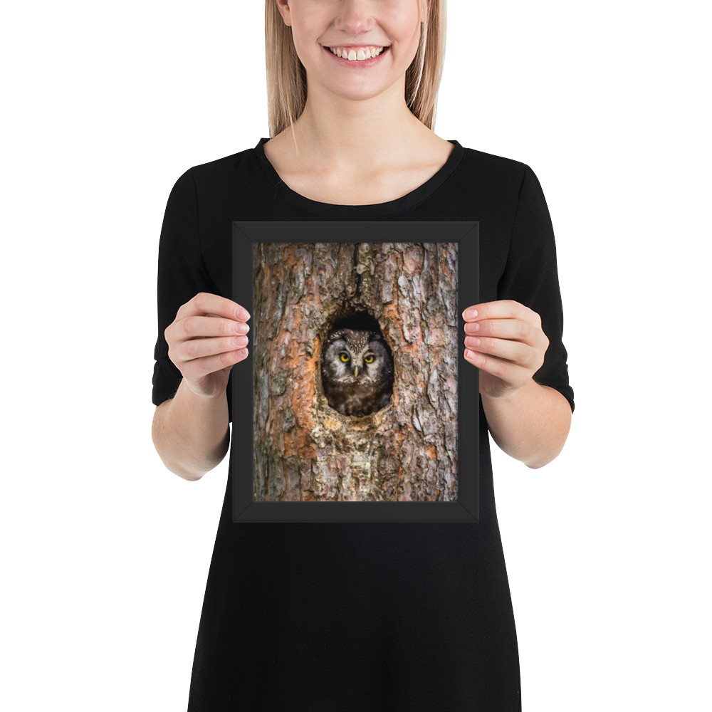 Woodland Hideaway - Owl Peering from the Tree - Framed Print