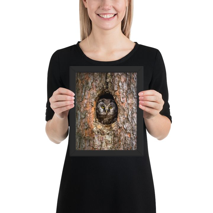 Woodland Hideaway - Owl Peering from the Tree - Framed Print