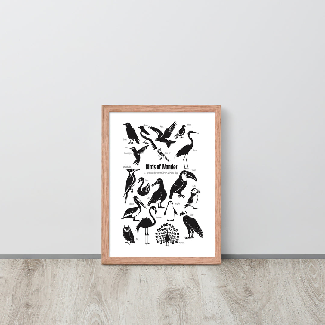 Birds of Wonder The Avian Silhouette Chart