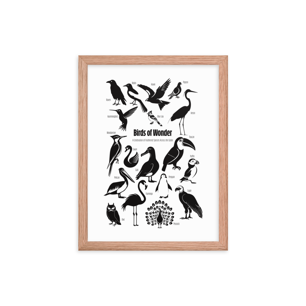 Birds of Wonder The Avian Silhouette Chart