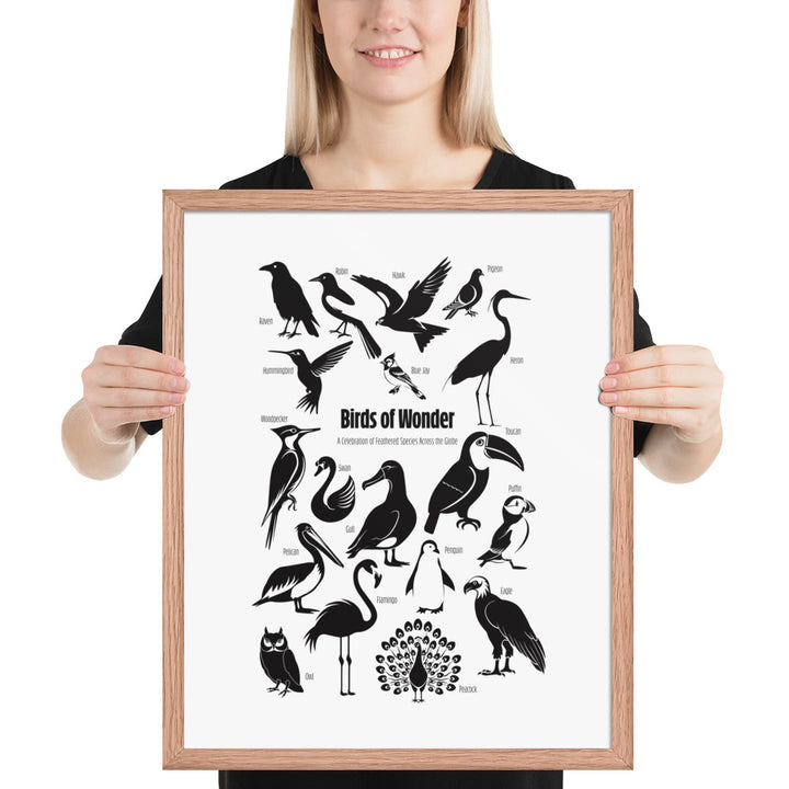 Birds of Wonder The Avian Silhouette Chart