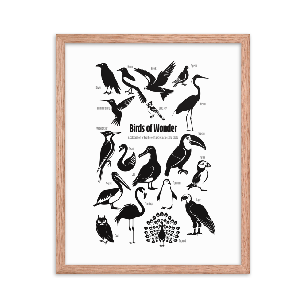 Birds of Wonder The Avian Silhouette Chart