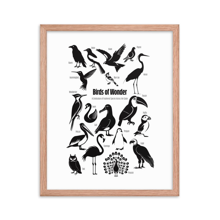 Birds of Wonder The Avian Silhouette Chart