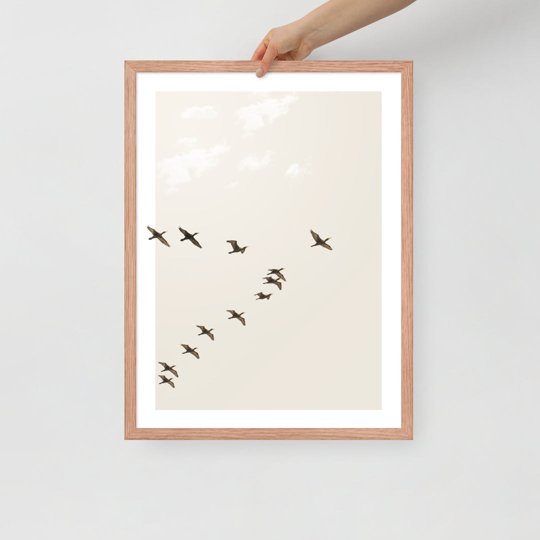 Graceful Passage of Migrating Geese - Framed Print