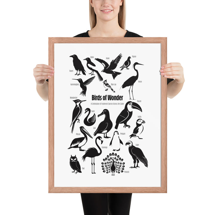 Birds of Wonder The Avian Silhouette Chart