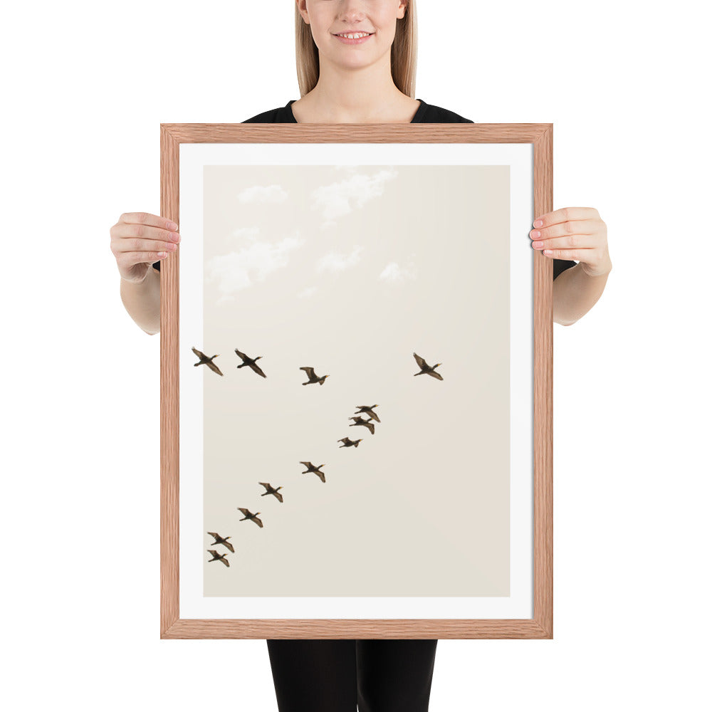 Graceful Passage of Migrating Geese - Framed Print