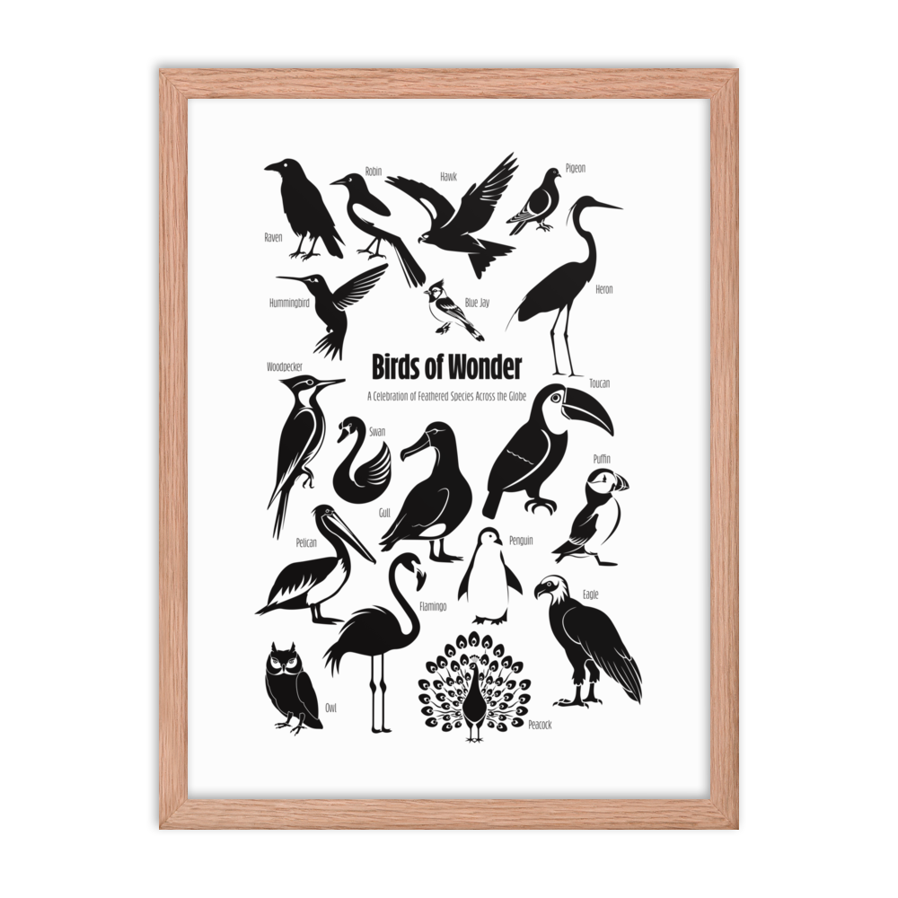 Birds of Wonder The Avian Silhouette Chart