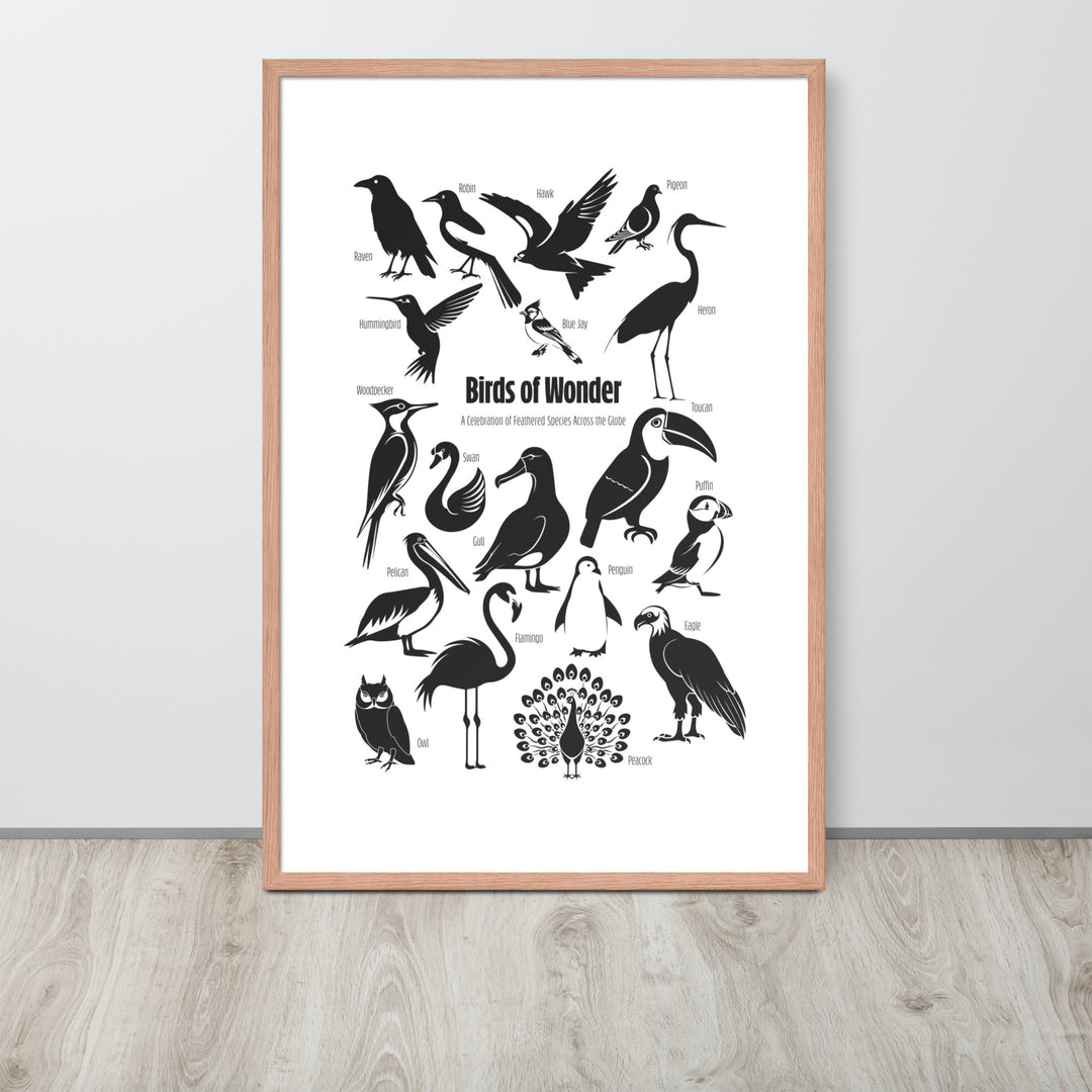 Birds of Wonder The Avian Silhouette Chart