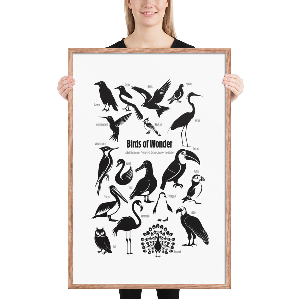 Birds of Wonder The Avian Silhouette Chart