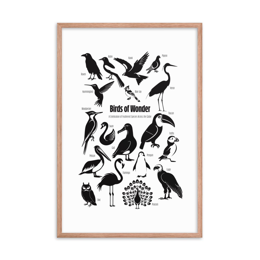 Birds of Wonder The Avian Silhouette Chart