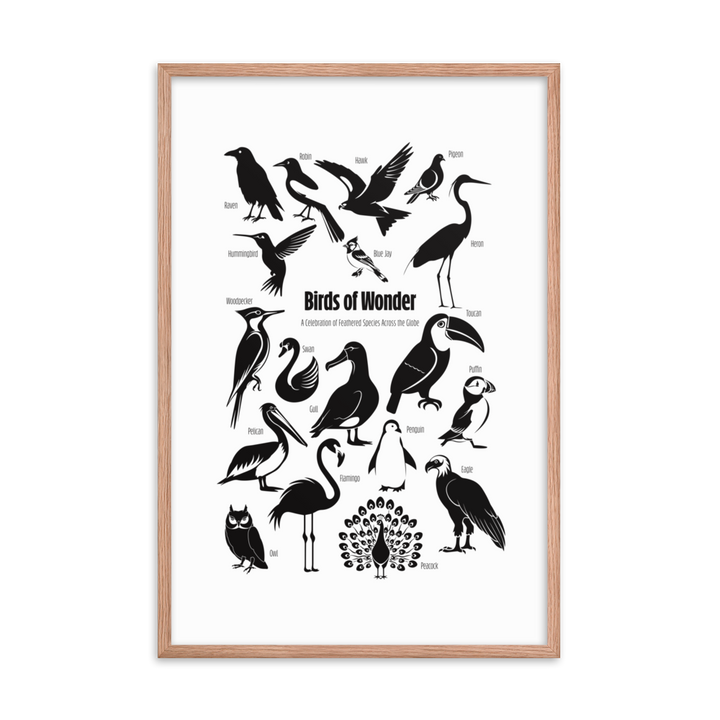 Birds of Wonder The Avian Silhouette Chart