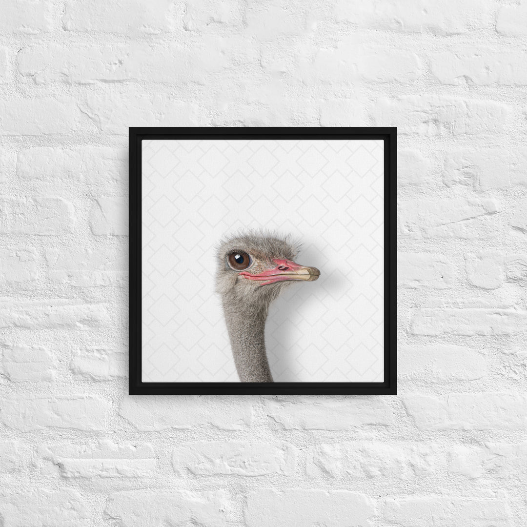 Intrigued Ostrich - Beakaboo - Framed Canvas