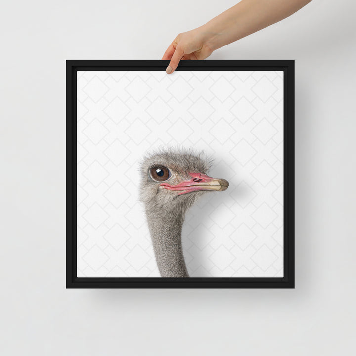 Intrigued Ostrich - Beakaboo - Framed Canvas