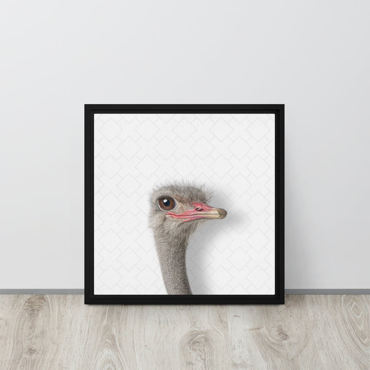 Intrigued Ostrich - Beakaboo - Framed Canvas