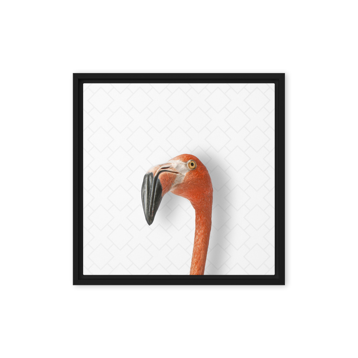 Suspicious Flamingo - Beakaboo - Framed Canvas