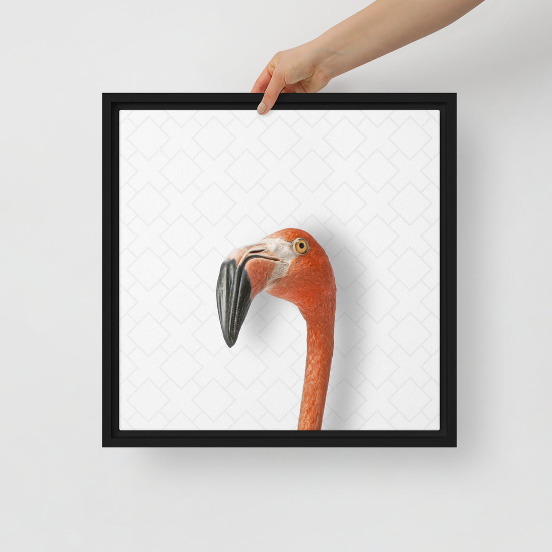 Suspicious Flamingo - Beakaboo - Framed Canvas