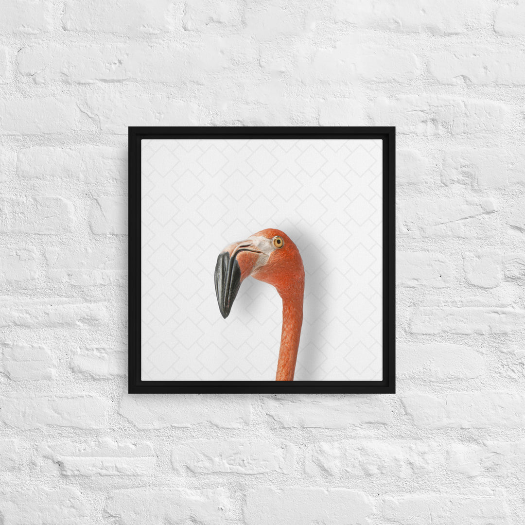 Suspicious Flamingo - Beakaboo - Framed Canvas