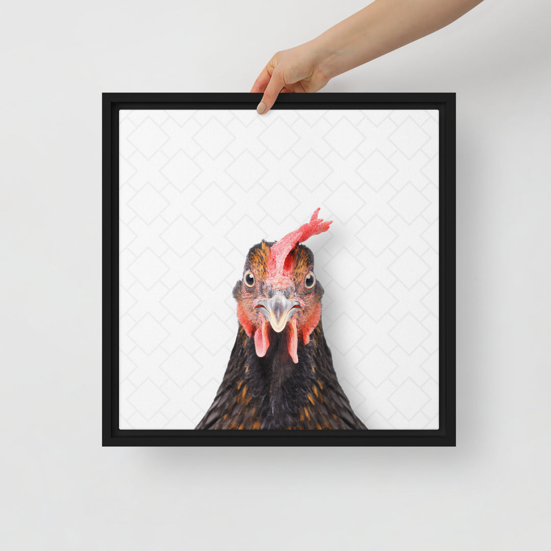 Focused Rooster - Beakaboo - Framed Canvas