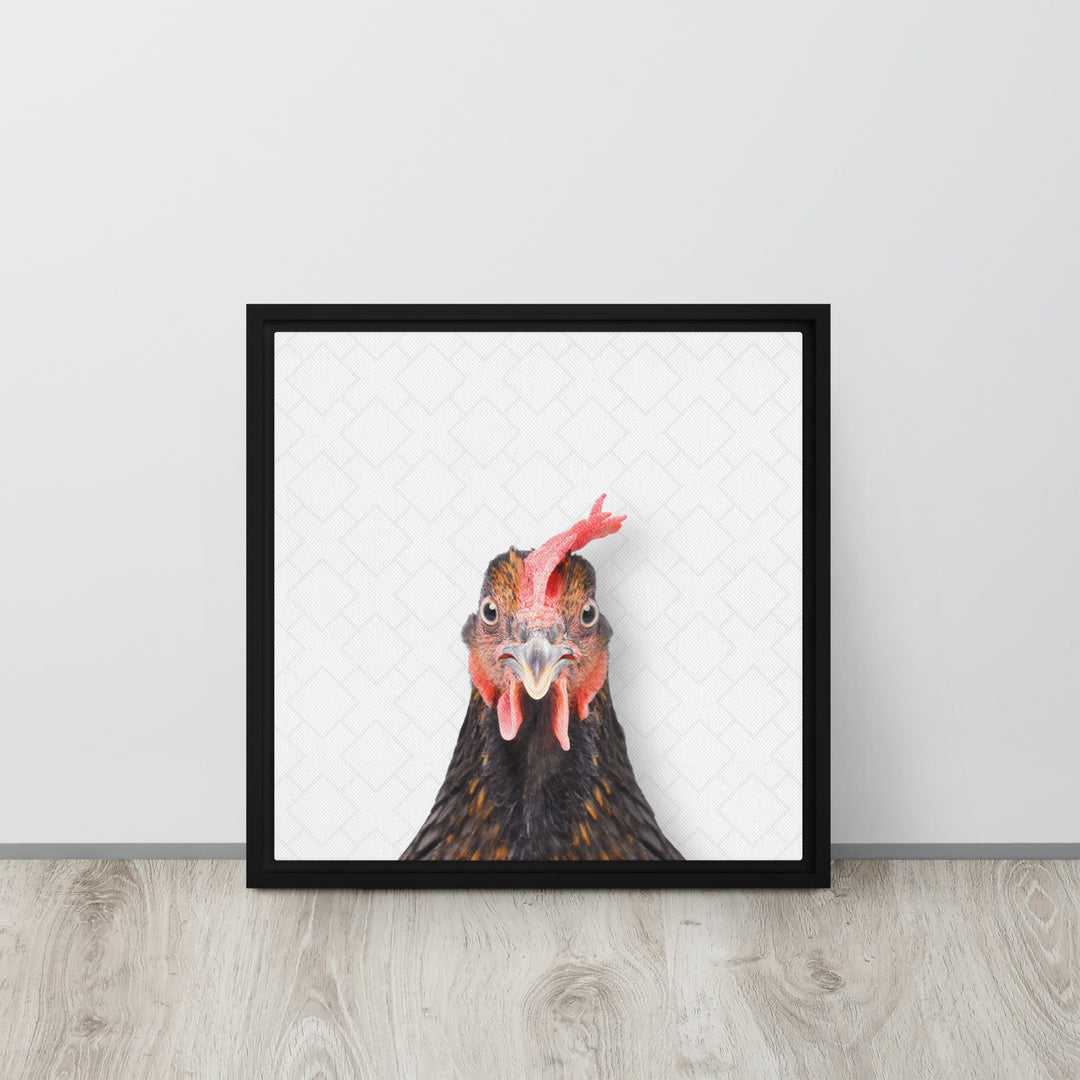 Focused Rooster - Beakaboo - Framed Canvas