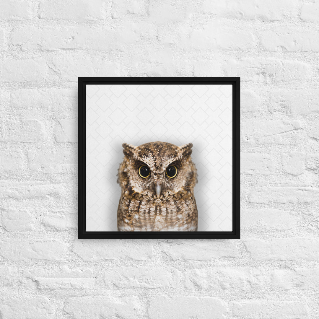 The Wise Owl - Beakaboo - Framed Canvas