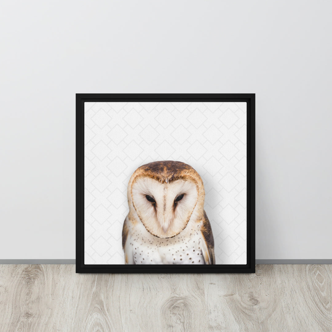 Gentle Barn Owl - Beakaboo - Framed Canvas