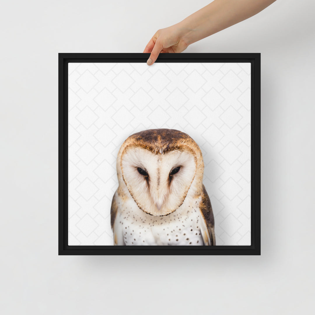 Gentle Barn Owl - Beakaboo - Framed Canvas