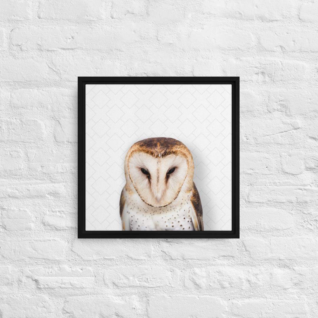 Gentle Barn Owl - Beakaboo - Framed Canvas